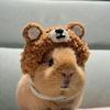 imerinho_