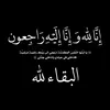 elsaa_768
