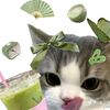 dian_150.aj