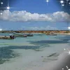 anmarieerba60