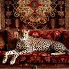 farzand14korosh
