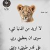 user2762847559