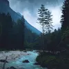 nevergivein_official