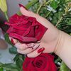 mounia.zinoucha