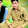 farmansherani7