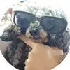 chenerzinedits