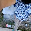 rasta.kece97