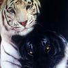 angie_5591