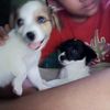 tubi.isai