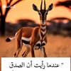 saied.ahmed80