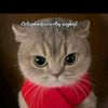 pyae.sone.aung1384