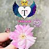 user2036655615472