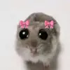 _.sparkwonhee