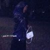 hibay__3