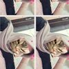 urlove.tasyaaa