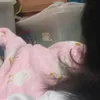nono_walakoypake