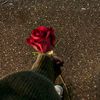 honestygirl7