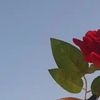 user2400703408473