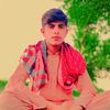 shakor.qaisrani