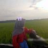 onyakk.safa