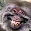 dionallanoid