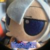 wisestep221