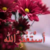 taqanam181