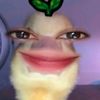vyorezcom