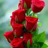 user88288135996002