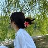 khin.myat.noe1946