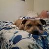 thebigbabyroxy