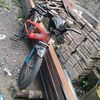 doren56743