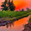 sada_punjab40