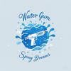 water guns