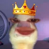 arawkupo2