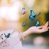 yasmeenjavaid27