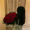 .fs245