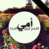 sarahhassan6996
