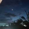 araykoooo64