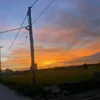 nhnfs23