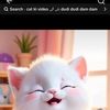waheedtahir034