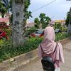 agsxly