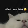 timmtihy1