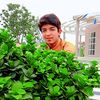 hassan.khan30204