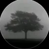 a0y637