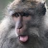 cowokmaco83