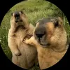 pedro_henriq85