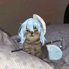 rinz.z12