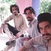 dilawar.khan317