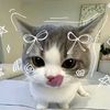 too.layla.3